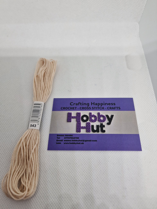 Embroidery Thread - 543