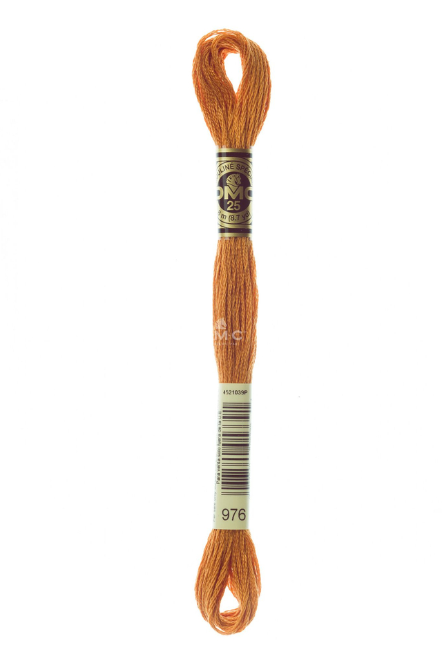 N°976 Mouliné Spécial DMC