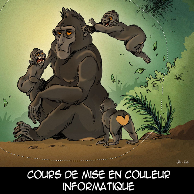 Cours de mise en couleur informatique