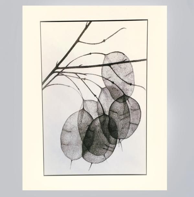  'Blue Honesty ll' cards x 3