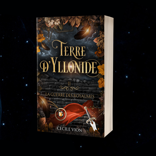 Terre d'Yllonide II - La guerre des royaumes