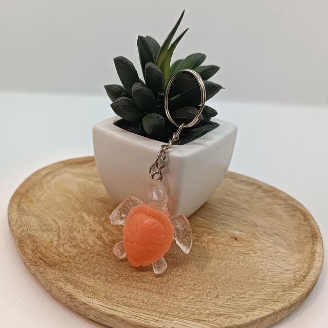 Tortue - Orange