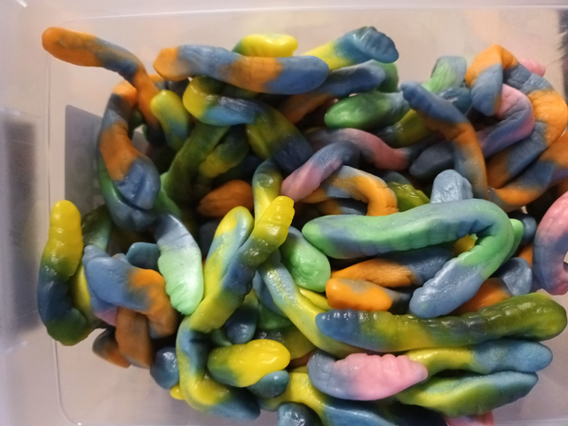 SERPENTS BICOLORES (VENDU PAR 100G)