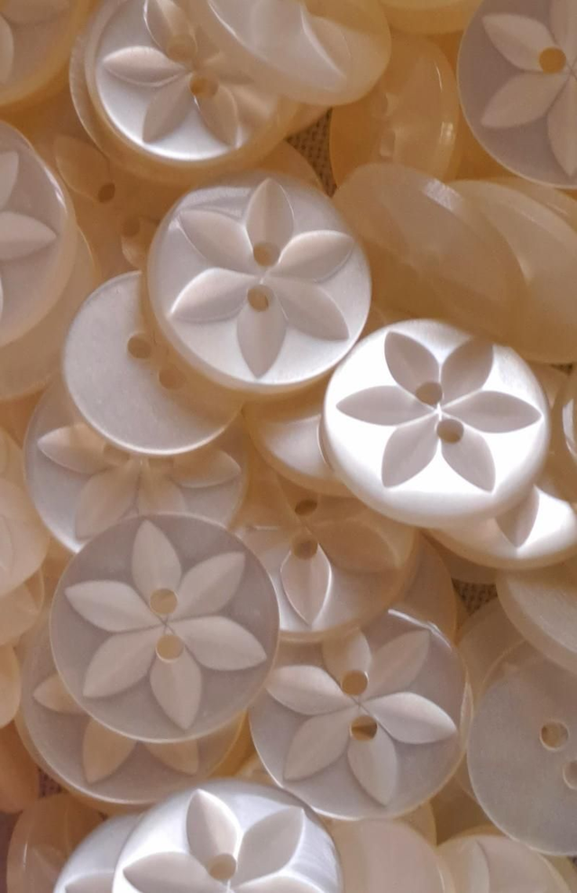 Buttons (pack 10) - Star - 14mm - Cream