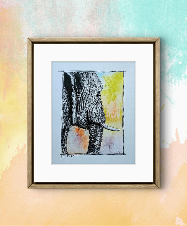 La sérénité de l'éléphant