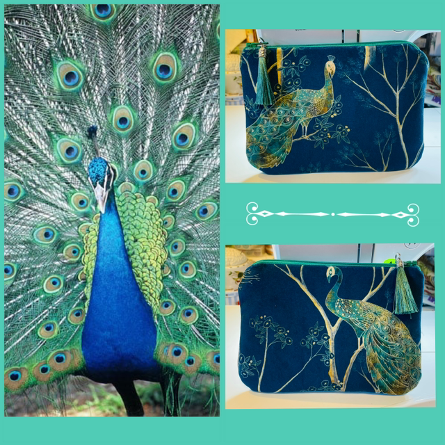 Peacock Pouch - the Velvet Series