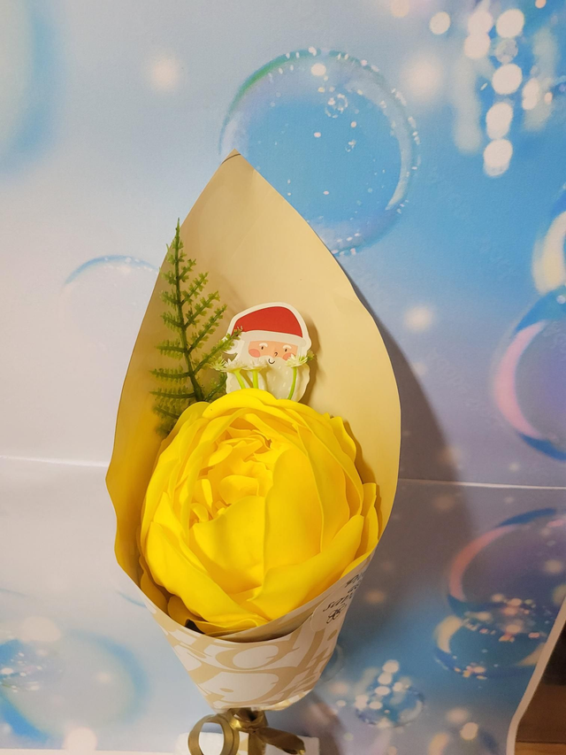 Pivoine de savon jaune 