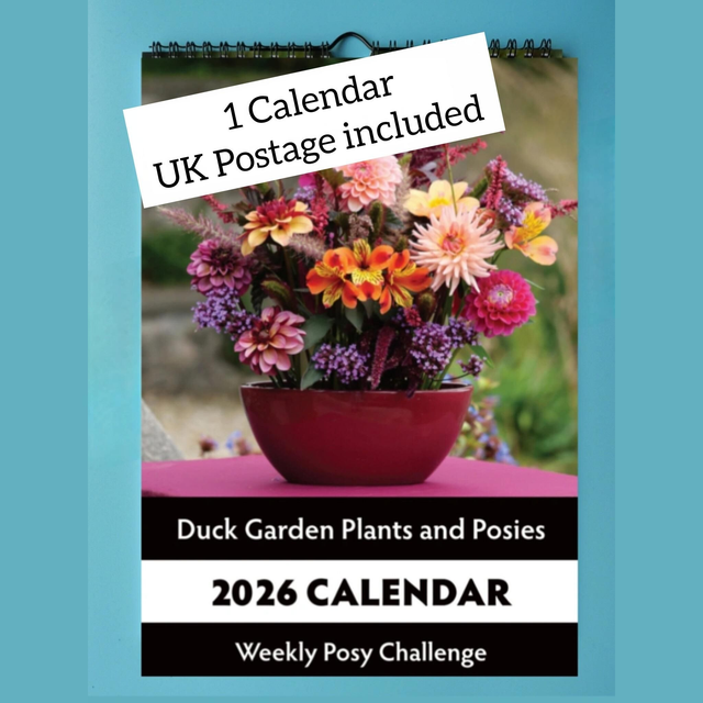 1 Calendar - UK Postage included