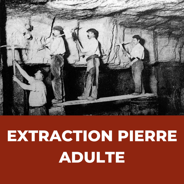 Extraction de la Pierre (Adulte)