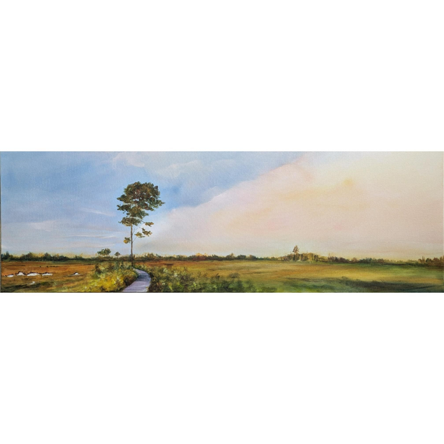 Autumn light at Thursley 