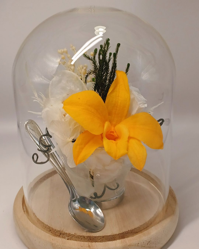  Orchidée éternelle - Cloche Élégance et tasse en verre