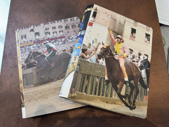 Box Portafoto Limited Edition 2024 e 2025