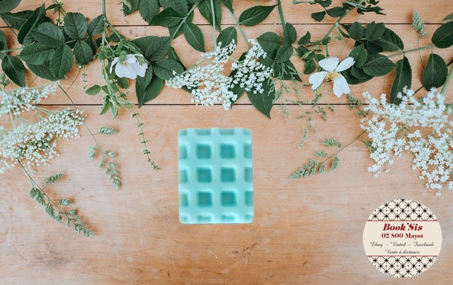 Fondant parfumé " Macaron vanille "