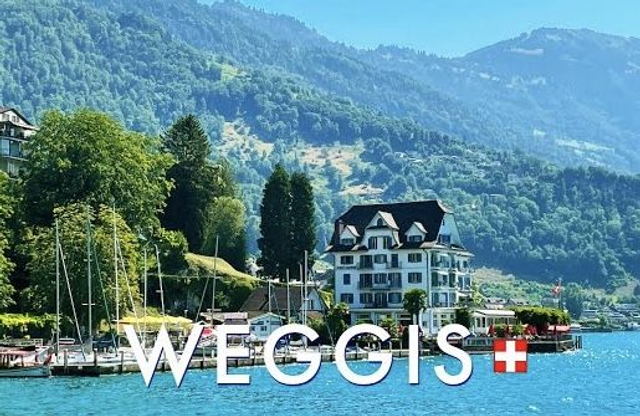 Zurich Airport to Weggis- Van Transfer