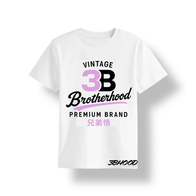 3B Vintage T Shirt (White Pink)