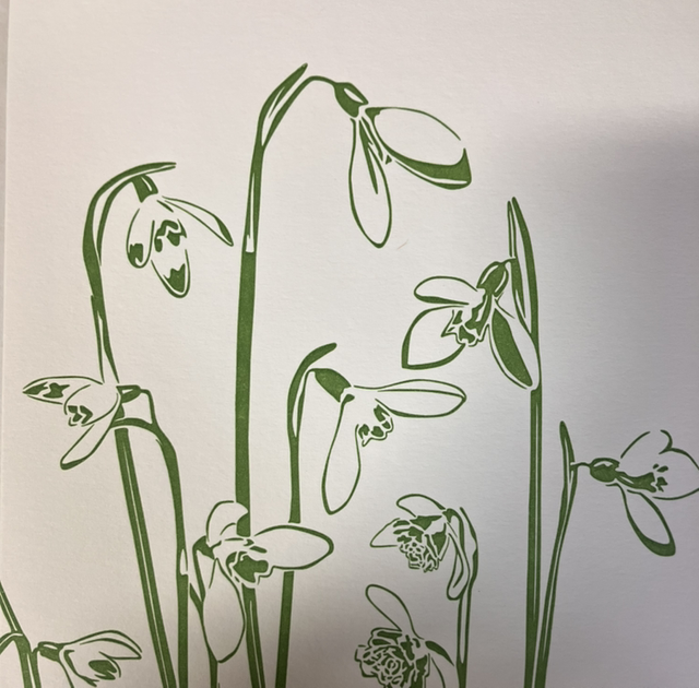 Traditional Letterpress Snowdrops 