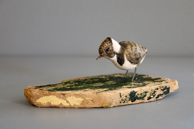 Fionna Bottema "Kievitskuiken op drijfhout"