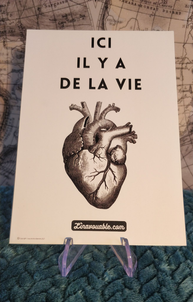 CARTE "ICI IL Y A DE LA VIE"