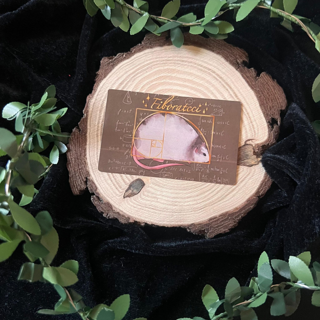 Sticker Tarjeta Crédito // Fiboratcci