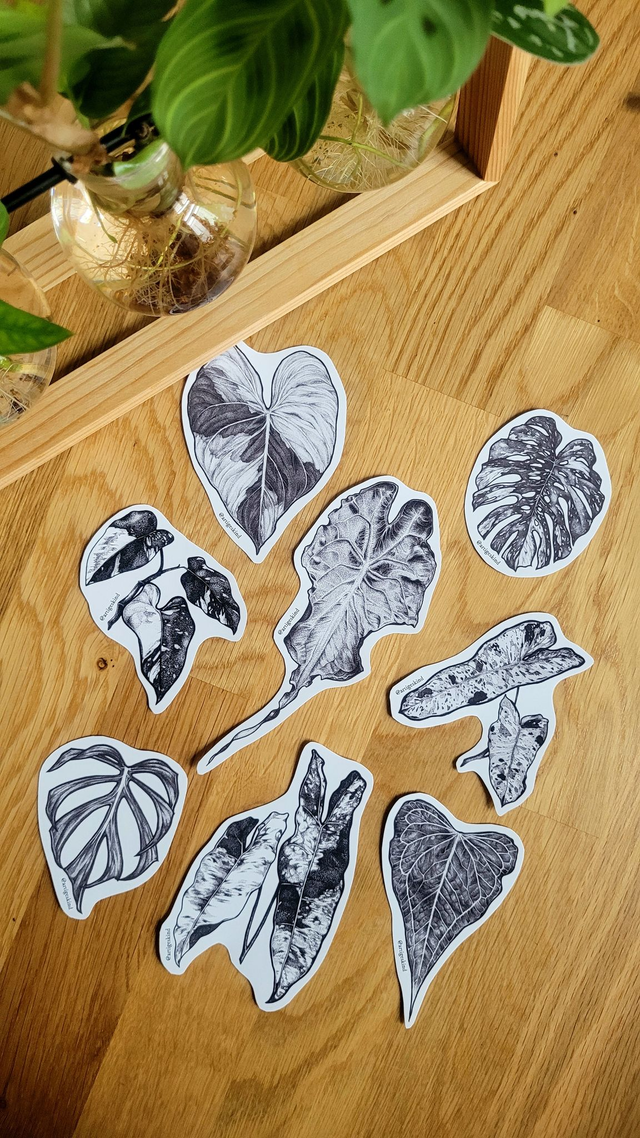 Sticker - verschiedene Varianten