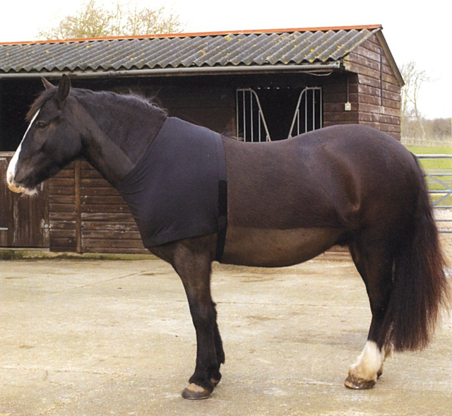 Rhinegold Satin Stretch Bib