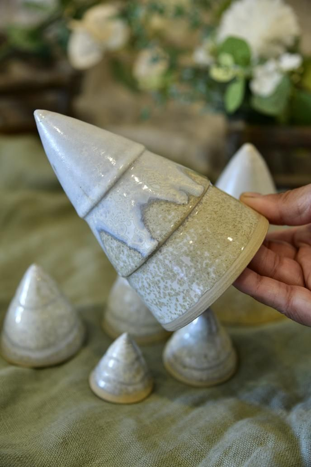 Forêt Sapin de Noël