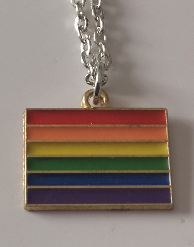 Enamel Rainbow Flag Pendant Necklace. 