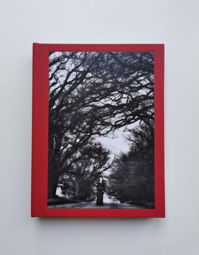 I Also Fight Windmills - a literary photobook