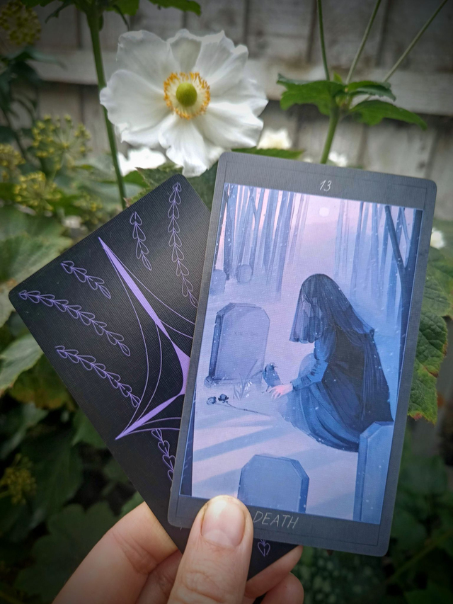 Honey &amp; Lavender Tarot: fairy tale and fantasy deck * by Lida Pavlova &amp; xié