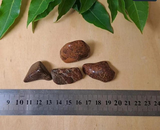 STARRY JASPER TUMBLESTONE