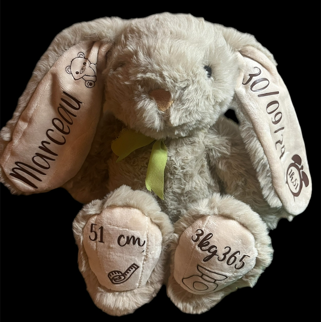 Peluche infos naissance 