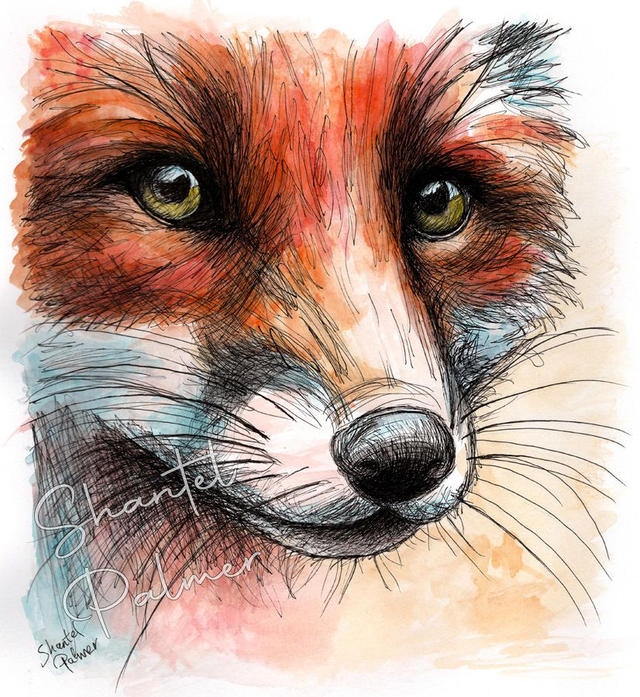 Scribble fox watercolour