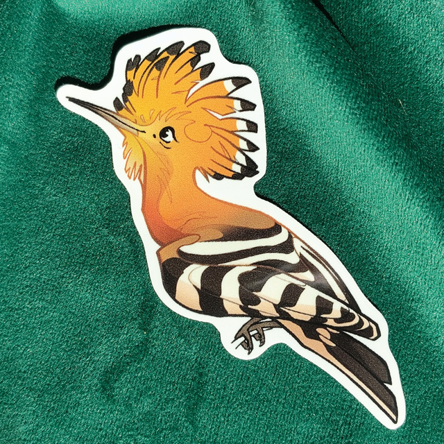 Sticker - Huppe Fasciée