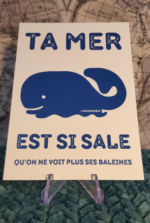 CARTE "TA MER EST SI SALE QU'ON NE VOIT PLUS SES BALEINES"
