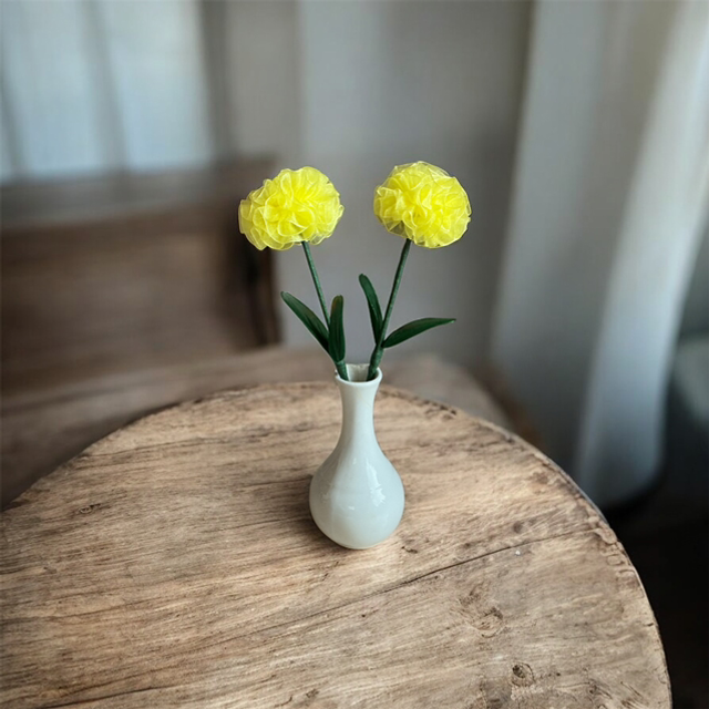 Carnation flowers in ribbon