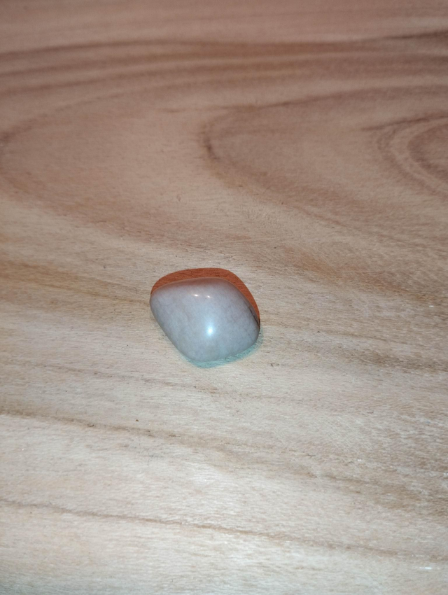 Bois fossile ou bois pétrifié 