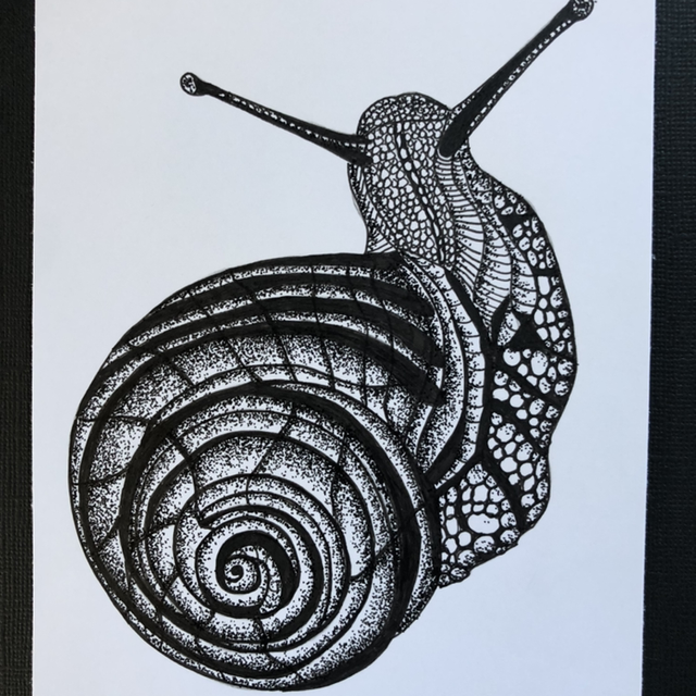 Escargot &amp; coquille - 21 x 26 cm - encadrement blanc &amp; bois 