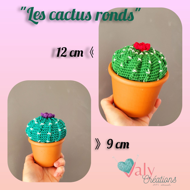 Les Cactus ronds (sur commande)