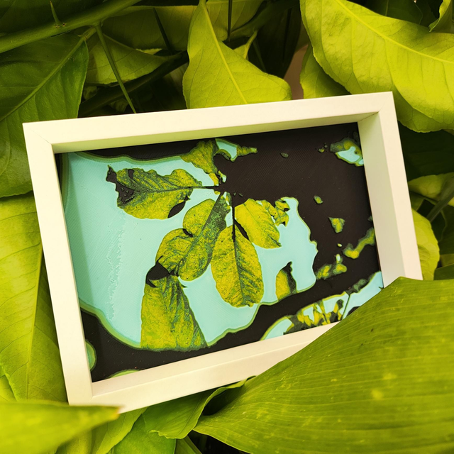 Cuadro 3D - Hojas a contraluz