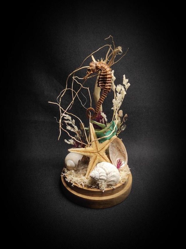 Diorama "Hippocampe"