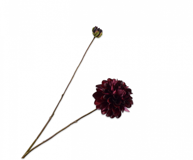 Silk-Ka Dahlia Tak Bordeaux 86cm