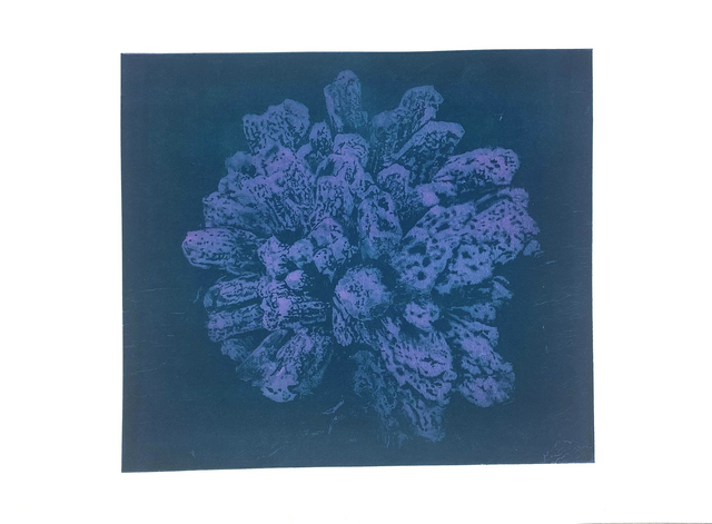 This moment in time (magenta-veridian)