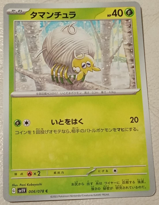 Carte pokémon japonaise 