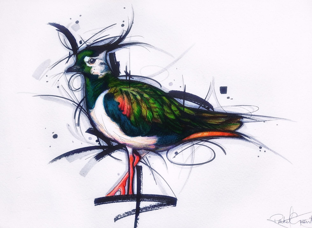 Lapwing Printed Slate Art