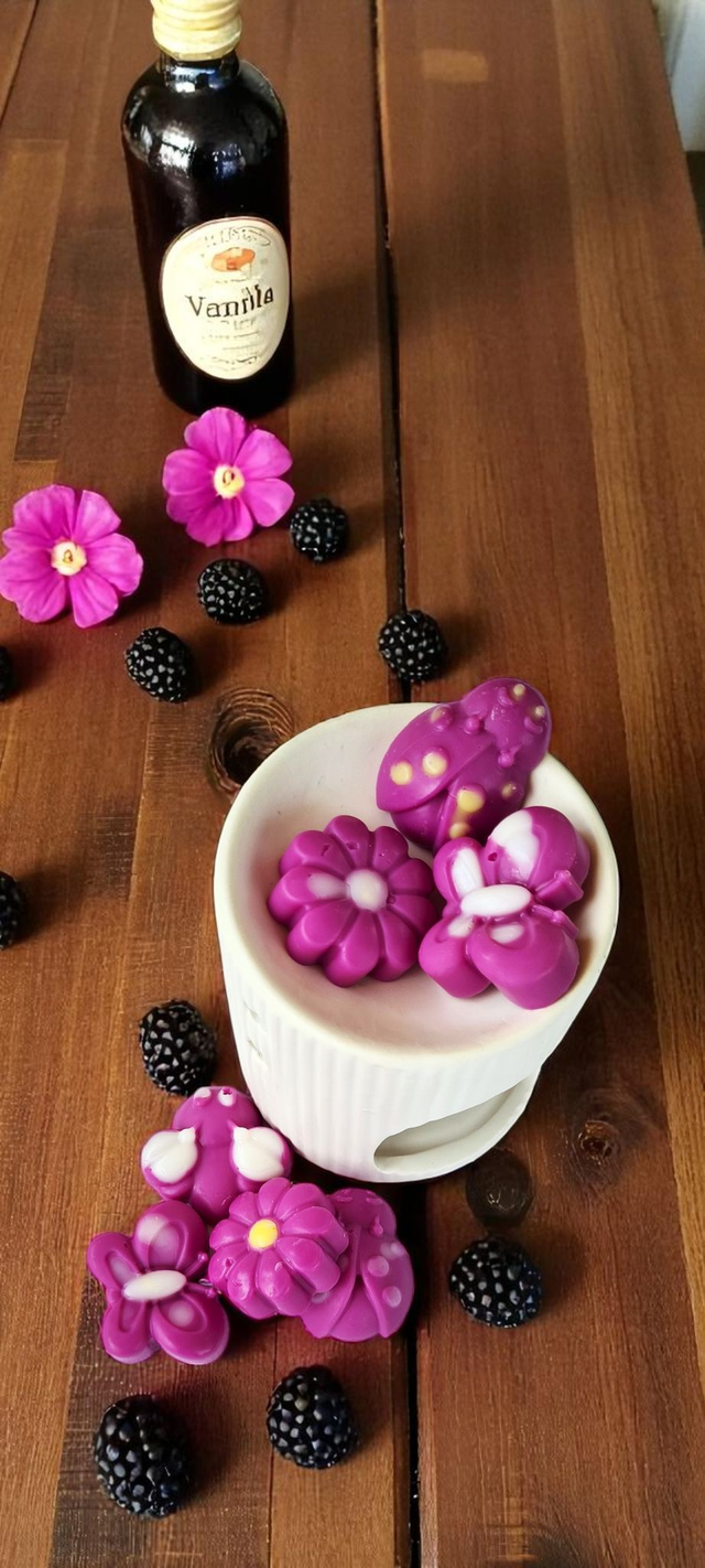 🍇 Fondants Parfumés – Framboise Noire & Vanille 🍦