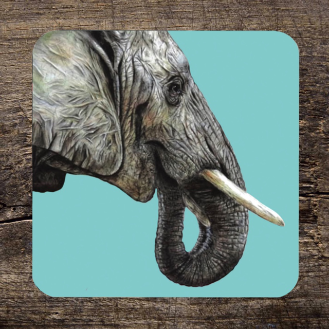 ‘Elephant’ Coaster
