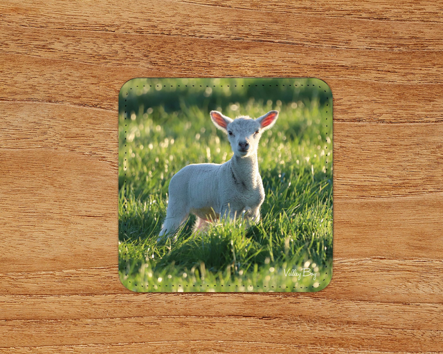“Little Lamb” Coaster