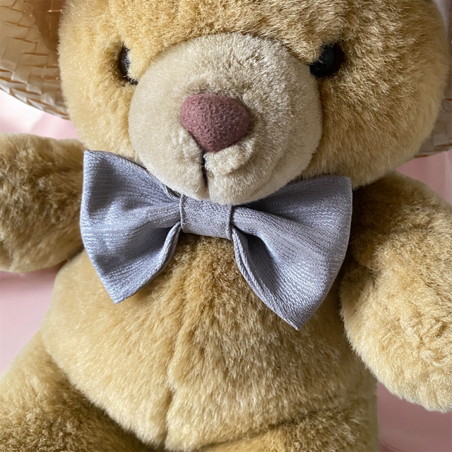 Nœud papillon gris/argent 