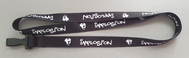 Lanyard