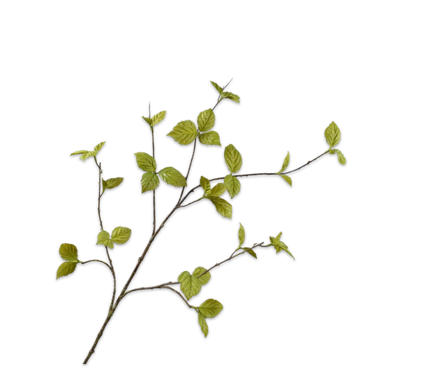 Silk-Ka Bladtak Groen 116cm